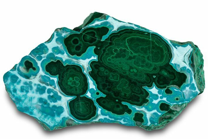 Vibrant Polished Malachite with Chrysocolla - DR Congo #319825